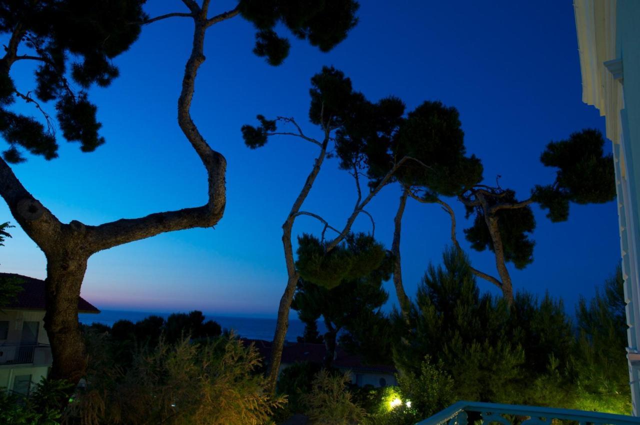 Villa Arlini Pineto Exterior photo